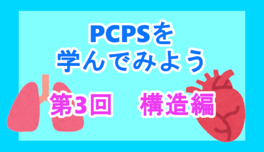 【PCPSについて】第3回　構造編